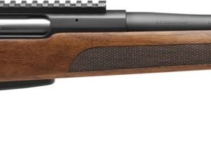 SAV STV 334 308 WALNUT 20B