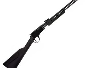 Rossi Gallery 22WMR 20" 12RD