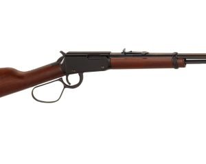 HENRY REPEATING ARMS LEVER ACTION 22LR LARGE LOOP
