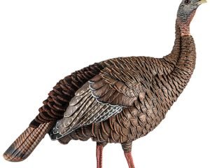 Avian-X HDR Hen Turkey Decoy
