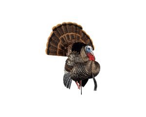 Avian-X HDR Strutter