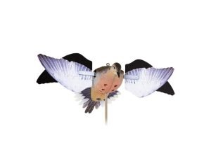 Avian-X Powerflight Robo Spinning Wing Dove Decoy