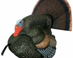 Primos Gobbstopper Strutter Turkey Decoy Box