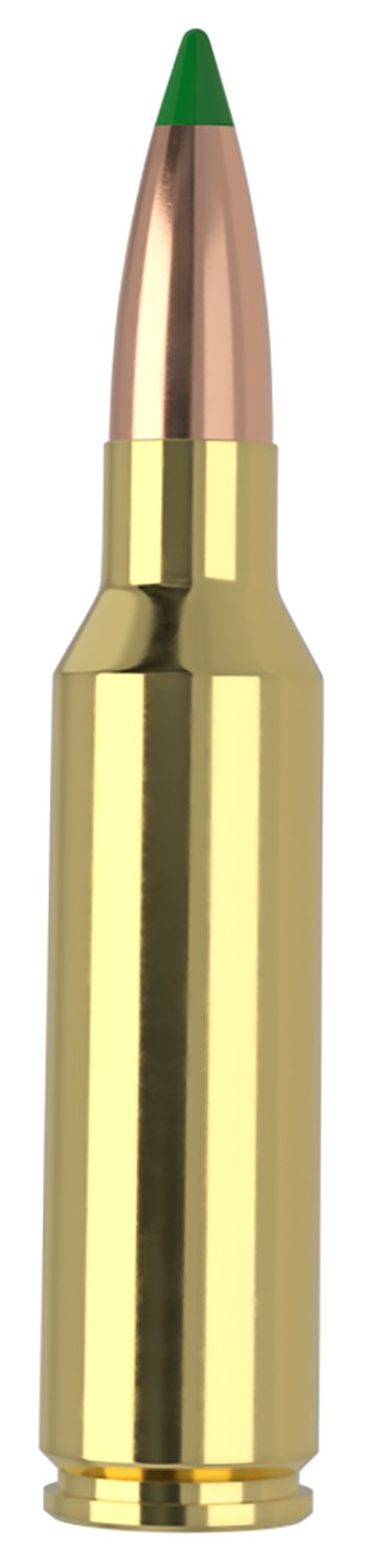 Nosler 61035 300WSM 165gr Ballistic Tip 20 Per Box/10 Case