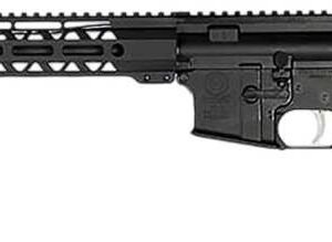 HP-15 Semi-Auto Rifle